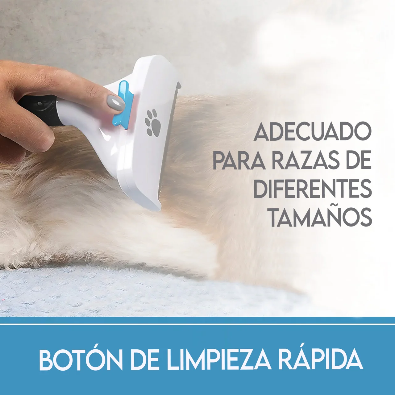 Imagen del producto 7